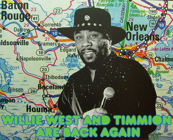Willie West – Cold In the Storm | Flea Market Funk
