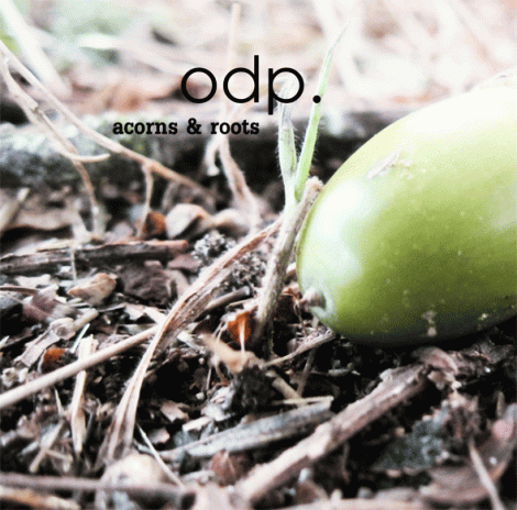 Acorns-and-Roots