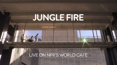Jungle Fire  Live On NPR